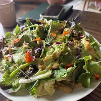 Here it is…sharing saladd course  at Vanderlyle in Petersfield