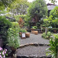  at Ogura Cha-Ya in Kyoto