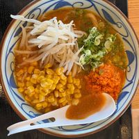 Vegan Miso Udon at Marugame Udon - Cupertino in Cupertino