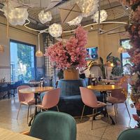  at Socials Minor in Tashkent