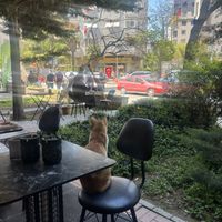   at Coffee Charlie in Istanbul