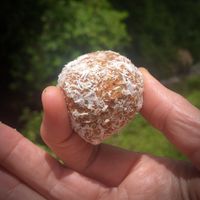 These carrot cake balls have just the right amount of sweetness (from dates) and just the right amount of real food nourishment (from the fresh carrots).   at Jampot in Kamuela