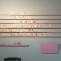 Vegan ice-cream at Shepherds Ice Cream in Abergavenny