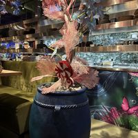   at By Ami in The Hague