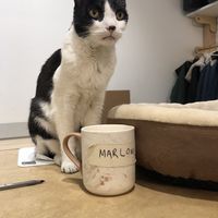 Phenomenal sales staff! at MooShoes in New York City