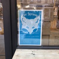 Fur serious? at MooShoes in New York City