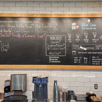 Inside at Blue Cow Ice Cream Co. in Fredericksburg