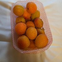 Aprikosen at REWE Voll Pflanzlich in Berlin