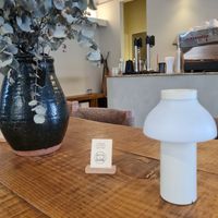 Inside at Swallow - Specialty Coffee & Houseplants in Alicante