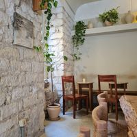 Inside at Swallow - Specialty Coffee & Houseplants in Alicante