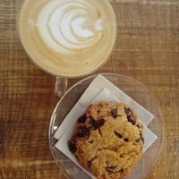  at Swallow - Specialty Coffee & Houseplants in Alicante