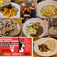 Benefiet voor dierenasiel Sulala in Gaza met catering van Gewoon.Anders in De Salopette at De Salopette in Ghent