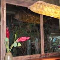   at Dana Vegan House in Hanoi