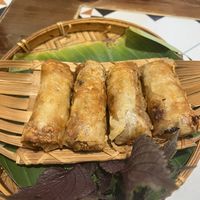 Fried spring rolls   at MẸT Vietnamese Restaurant & Vegetarian Food - Hang Bac in Hanoi