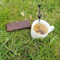  at Lumamie in Mesquer