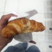  at FCO - Panella in Rome