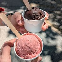  at Sisters Kurtoš in Zagreb