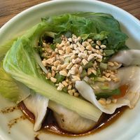 Dumplings, was ok   at Su Shan Mian - 素山面素食 - 文殊院店 in Chengdu