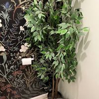 Plant in the bathroom at The Power Plant Cafe  in Jersey City