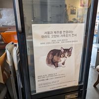 Stray cat art exhibition at Vegan Books - 비건책방 서울  in Seoul