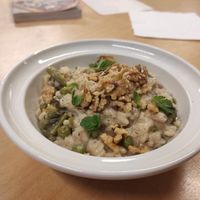 Dish of the day risotto at oVEGANADA in Porto