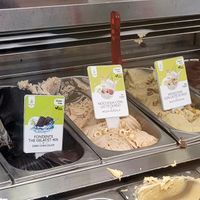 Vegan labelled rice milk flavours at The Gelatist - Corso  in Rome