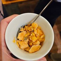 Vegan sorbet with granola for dessert at Tokyo Bal Garden Terrace in Tsukuba