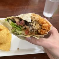   at Taco Mogo in Eugene