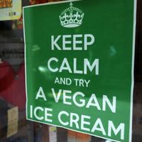 Take an ice cream! at Eco Popup in Florence