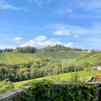 Aussicht von der Terrasse  at Weinidylle Dreisiebner in Sulztal