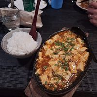 Vegan Spicy Mabo Tofu (war auch mega lecker) at Udzuki in Panglao