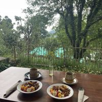 Apricot granola with fruits and soya curd  at Backwoods Bakery in Dharamshala