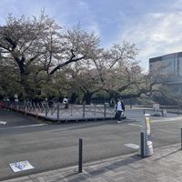 View   at Seattle Express Cafe - Tokyo Institute of Technology  in Tokyo