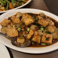 Tofu on garlic sauce   at Siam Orchid  in Dublin