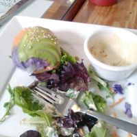 Spring rolls at Shine Cafe in Morro Bay