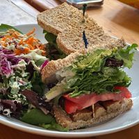 Our take on a classic B.L.T. Toasted sprouted grain bread with thin slices of bacon favored tempeh, sorng mix, tomato, avocado and vegenaiso. Side salad with Socy Chipotle dressing at Shine Cafe in Morro Bay