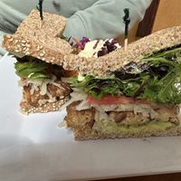 Ruben   at Shine Cafe in Morro Bay