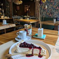 vegan cheesecake at Osteria L'Angolo Divino in Rimini