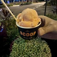 Blood Orange and chocolate sorbets  at Scoop Gelati Bar in Burleigh Heads