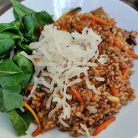 Brown rice bowl (so filling) at Zrno Bio Bistro in Zagreb