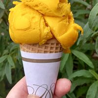 Jude's mango sorbet at The Homestead Cafe in Beckenham