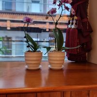  at One Leaf, One World 一叶一世界 - WenShu 文殊坊 in Chengdu