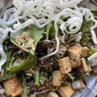  Asian Salad with Tofu  at Walt Disney World - Geyser Point in Lake Buena Vista