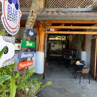 Blue Berry at Blue Berry in Puerto Viejo De Talamanca