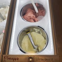 Vegan gelato at Sweet Magnolia Gelato  in Memphis