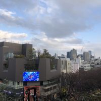   at Falafel Brothers - Harajuku in Tokyo