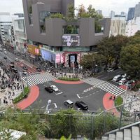 Rooftop terrace.  at Falafel Brothers - Harajuku in Tokyo