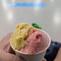  at CJU - Tiamo Gelato in Jeju