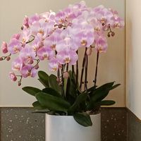   at Ru Pure Vegan - 博华广场店 in Shanghai