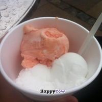 Pink grapefruit, Elderflower and Lemon Sorbet (vegan) at Isobar in Copenhagen